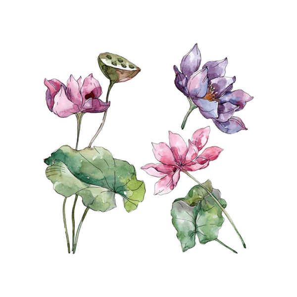 LOTUS FLORAL FRAGRANCE OIL