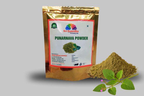 Punarnava Powder