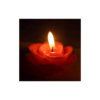 rose fra oil