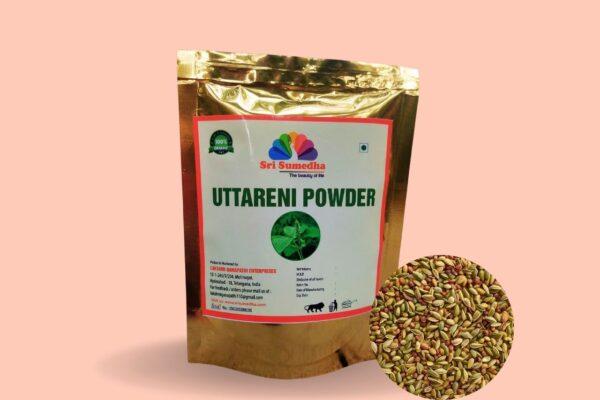 Apang Powder