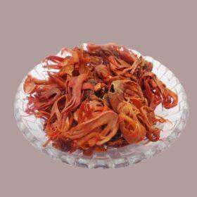 Japatri