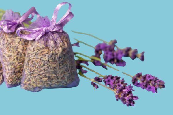 Lavender Dried Flowers