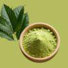 Podapatri Leaf Powder