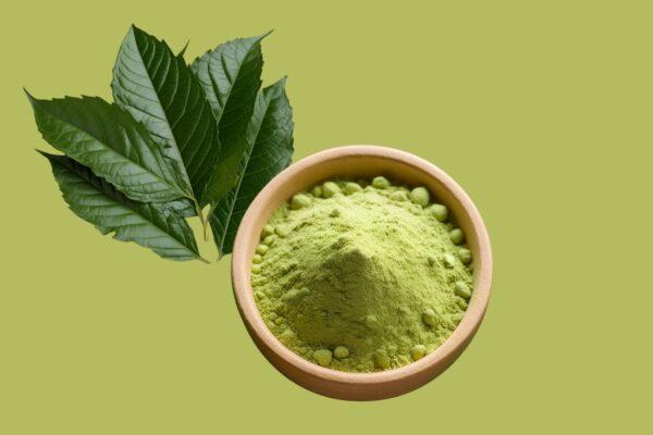 Podapatri Leaf Powder